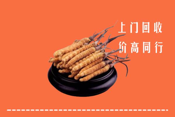 高价求购：马边县回收散虫草