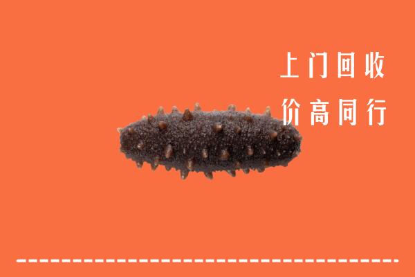 高价求购：马边县回收海参