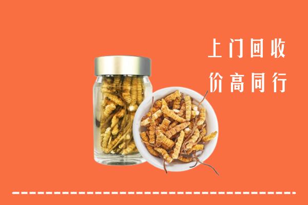 马边县回收冬虫夏草